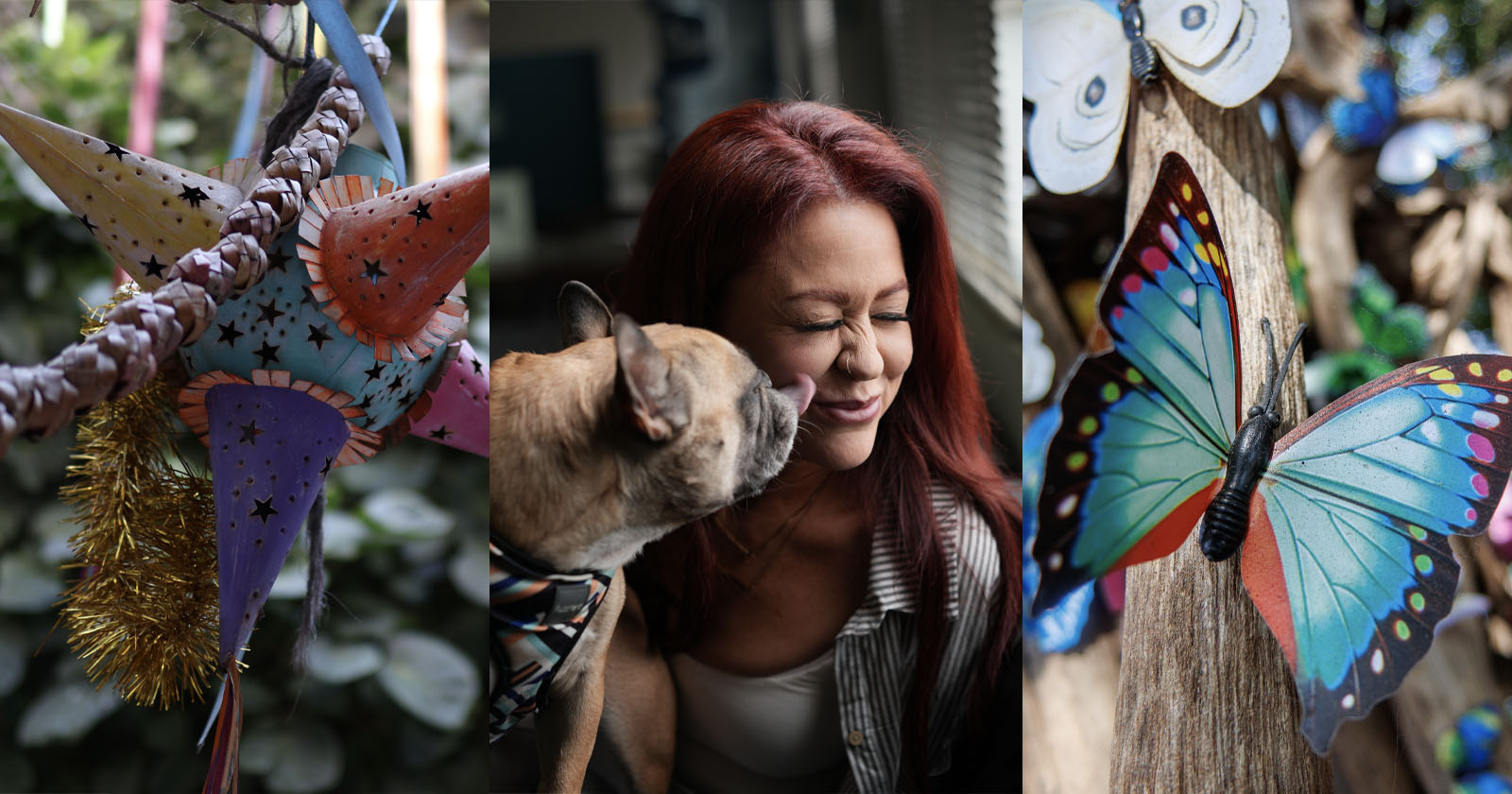 A collage with three panels: colorful star decorations, a woman smiling as a dog licks her face, and a close-up of vibrant blue butterflies on tree branches.