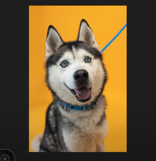 1GR5125.png