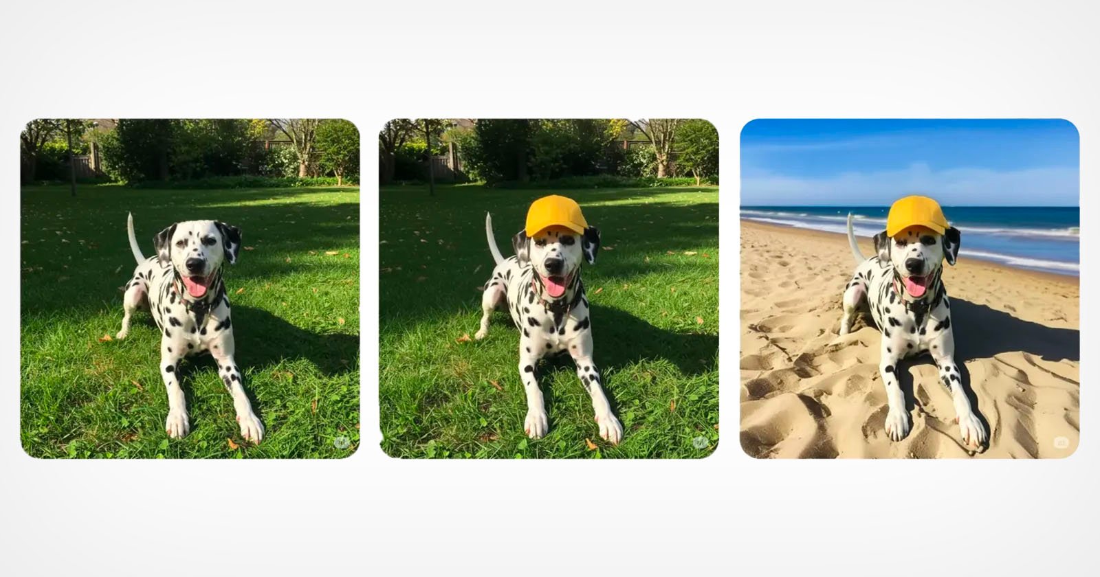 A Dalmatian wearing a yellow cap stands on grass in two left photos and on sand at the beach in the right photo, with trees in the background of the first two and the ocean in the background of the third.