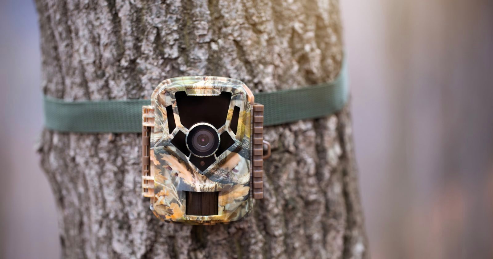 theft trail camera jail