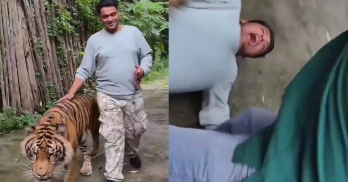 tiger-attacks-tourist-photo-shoot.jpg